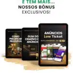 Bonus Exclusivo, Guia do Criativo no Google Display e Instagram
